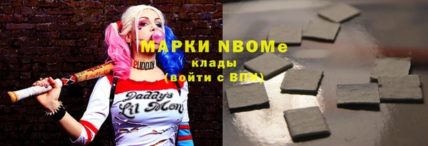 прущие грибы Каменногорск