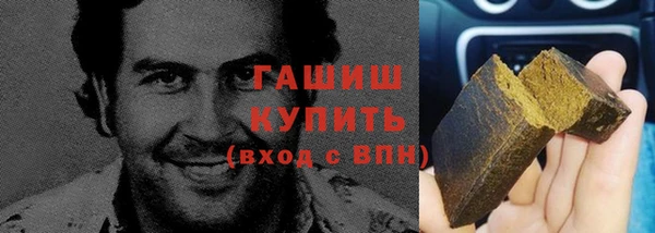 прущие грибы Каменногорск