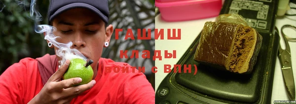 прущие грибы Каменногорск