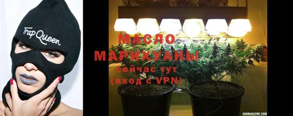 шишки Каменка