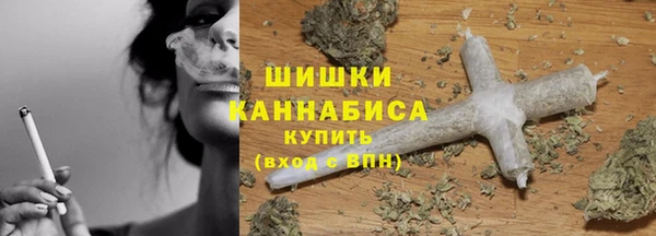 прущие грибы Каменногорск