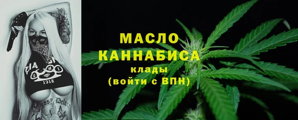 шишки Каменка