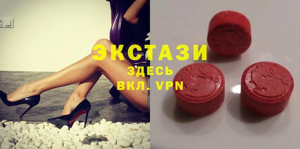 прущие грибы Каменногорск