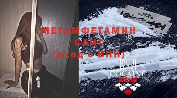 шишки Каменка