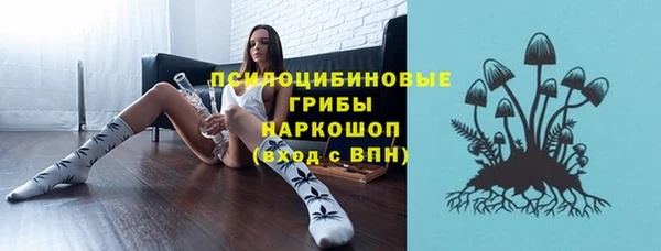 шишки Каменка
