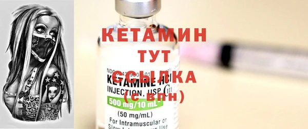 шишки Каменка