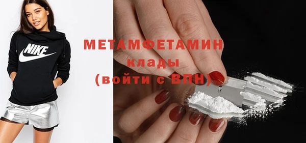 шишки Каменка