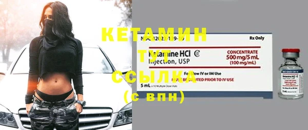 прущие грибы Каменногорск