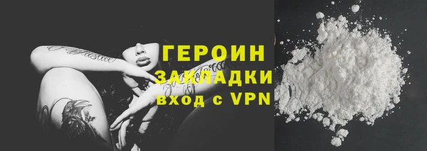 прущие грибы Каменногорск