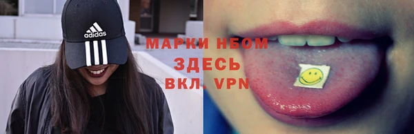 шишки Каменка