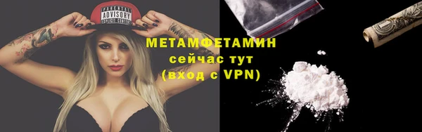 прущие грибы Каменногорск