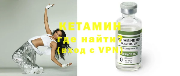 прущие грибы Каменногорск