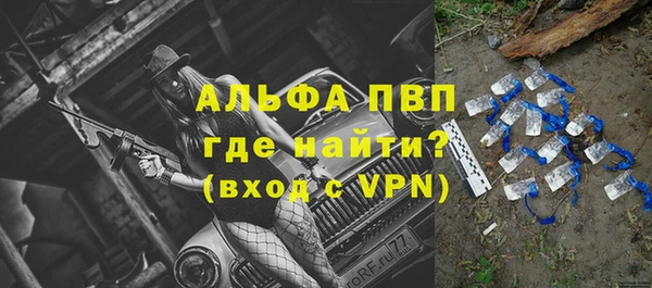 шишки Каменка