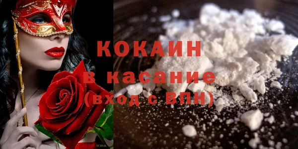 прущие грибы Каменногорск