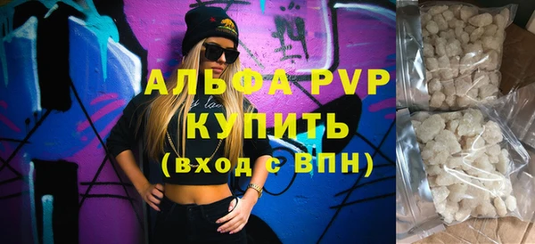 прущие грибы Каменногорск