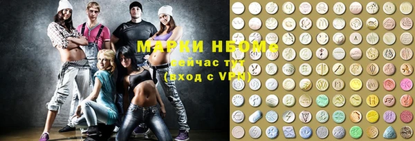 прущие грибы Каменногорск