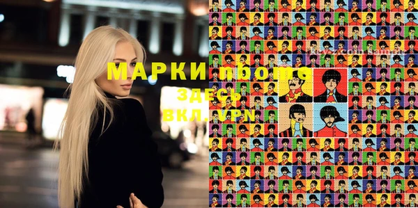 прущие грибы Каменногорск