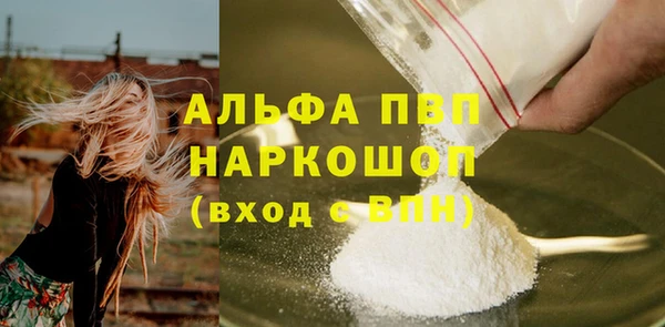 шишки Каменка