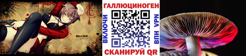Псилоцибиновые грибы Cubensis  Купить где  Боготол 